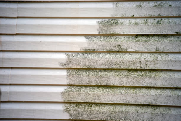 Trusted Searingtown, NY Junk Removal Experts